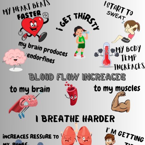 llustrated P.E. poster titled "What Happens to My Body When I Exercise?" showing body changes like faster heartbeat, sweating, and muscle use – designed for children.