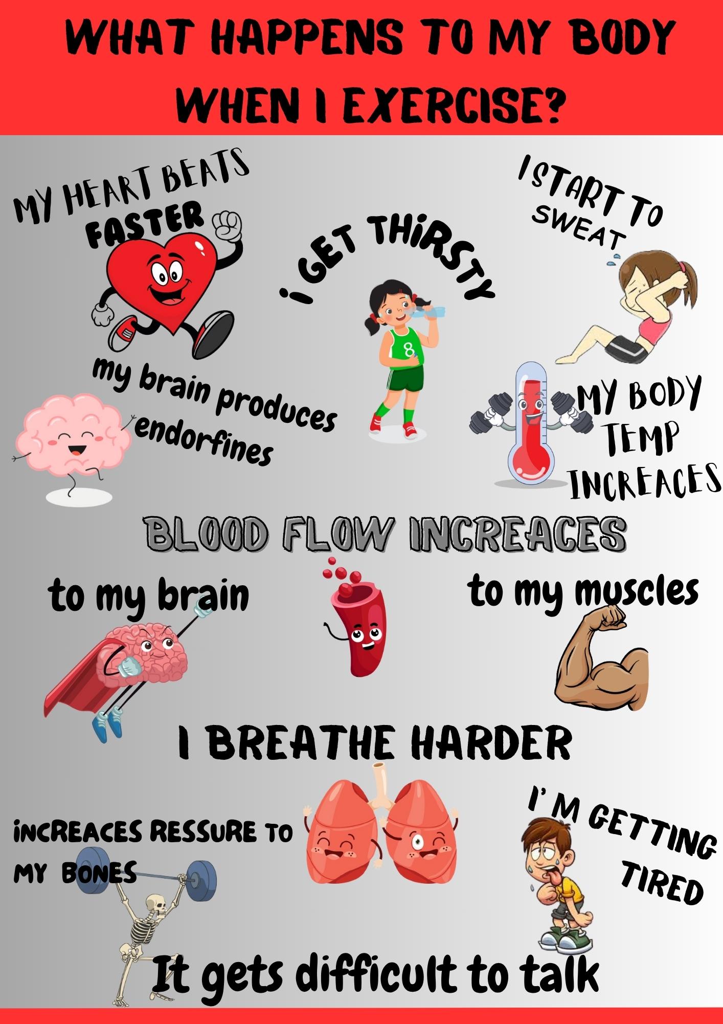 llustrated P.E. poster titled "What Happens to My Body When I Exercise?" showing body changes like faster heartbeat, sweating, and muscle use – designed for children.