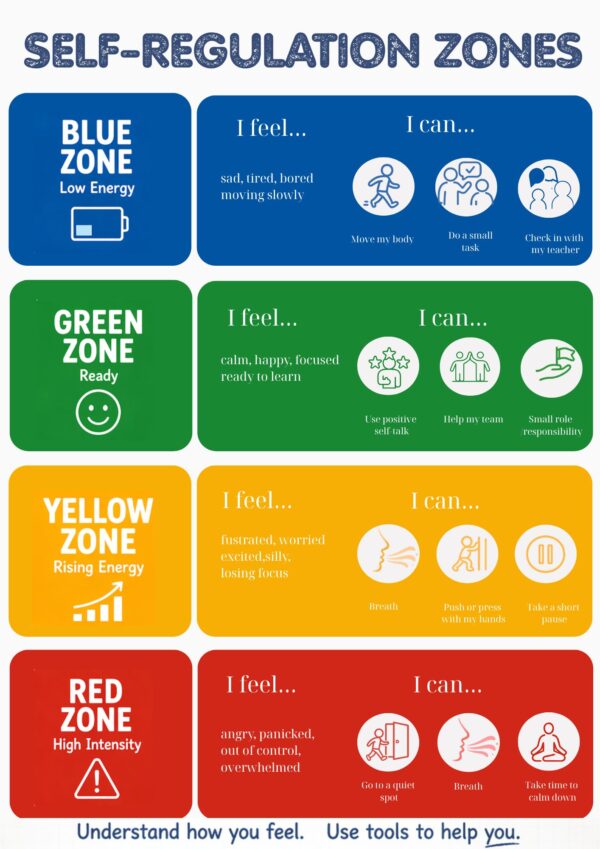 Zones of Self-Regulation in P.E. | Educational  Poster